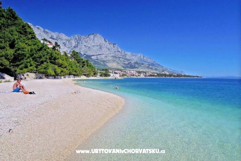 Apartmaji Mimoza – foto 10