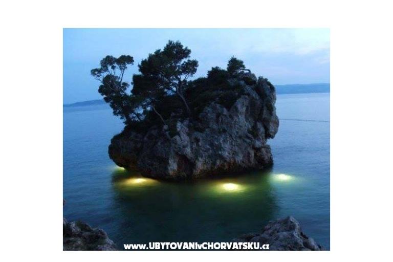 Apartmaji Mimoza – foto 16