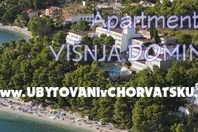 Apartmaji Mimoza – foto 8