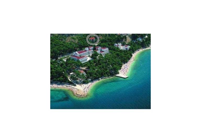 Apartmaji Mimoza – foto 9