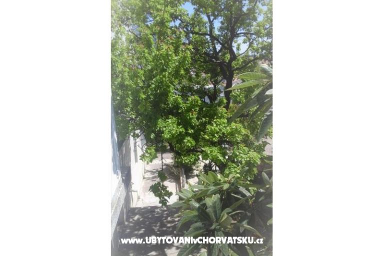 Elka – foto 20