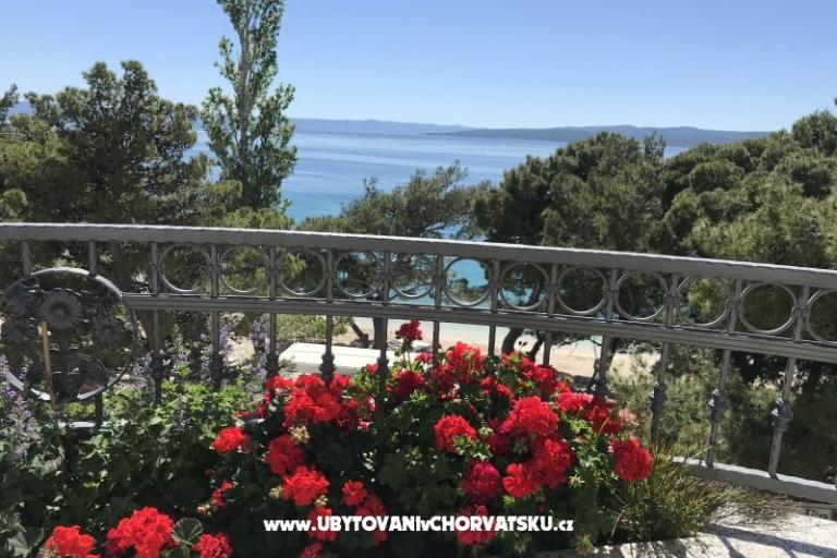 Hiša Veronika – foto 5