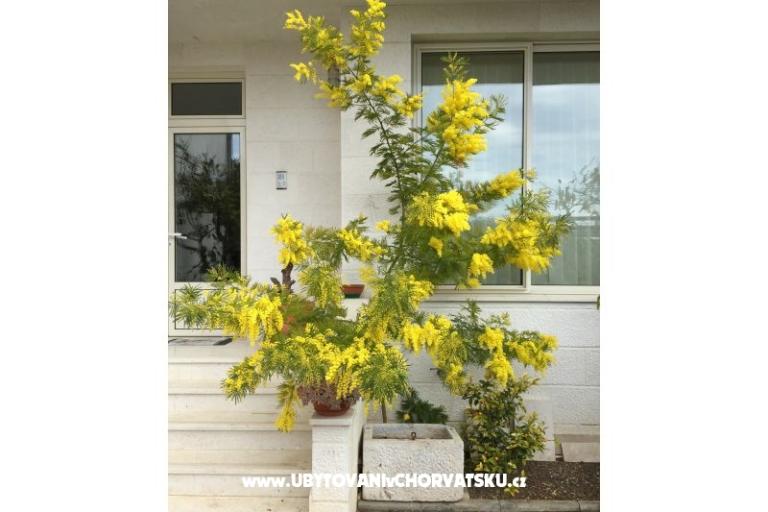 Hiša Grazia – foto 7