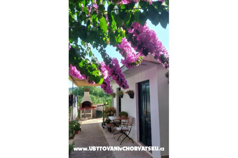 Apartmaji Ježina – foto 19