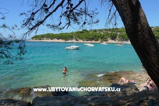 Apartma Hiša Ivana – foto 11