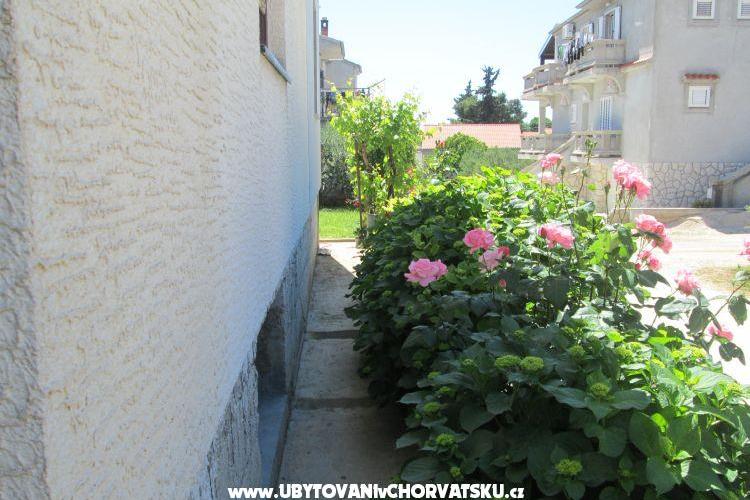 Apartma Dara – foto 13
