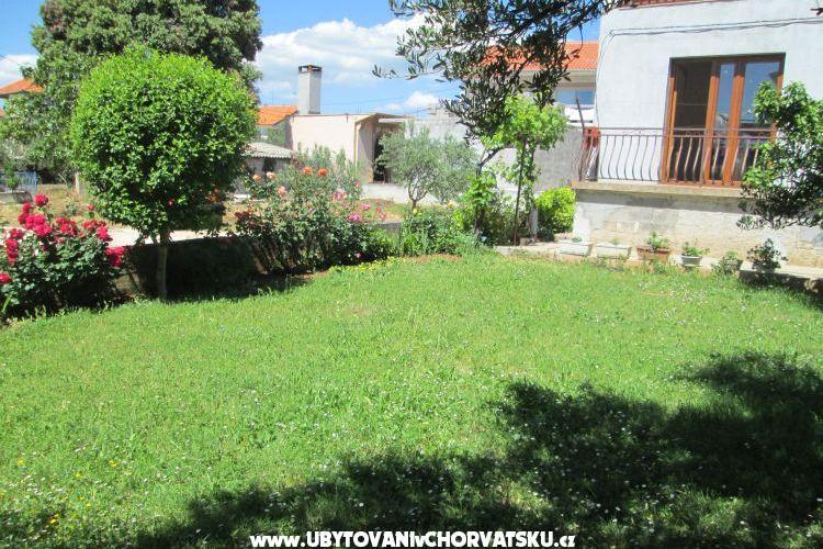 Apartma Dara – foto 15
