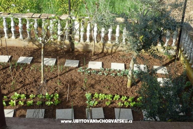 Apartma Petar i Agica Sabljak – foto 14