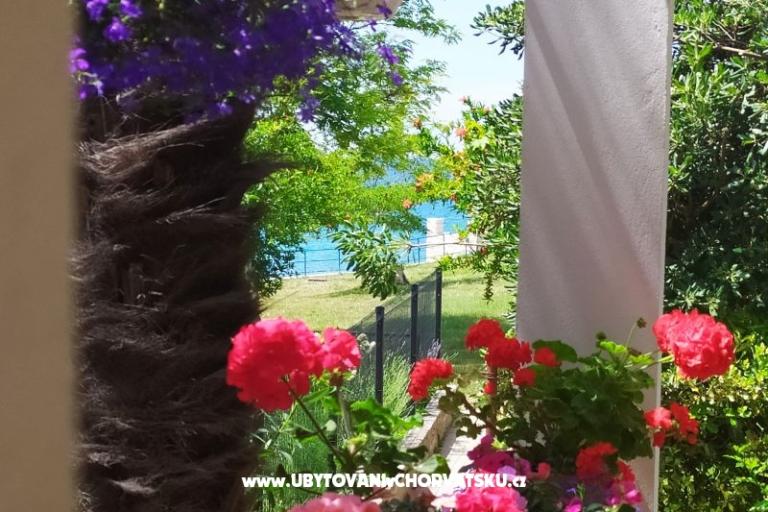 Apartmaji i sobe Sandra – foto 14