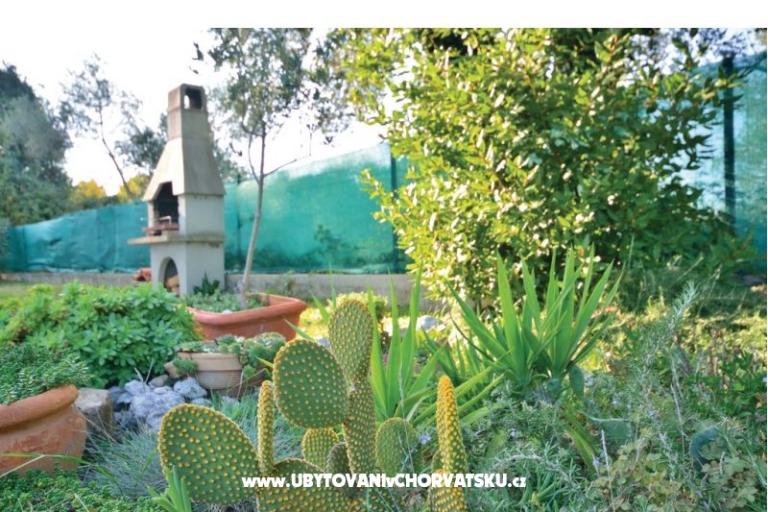 Apartmaji Marija – foto 16