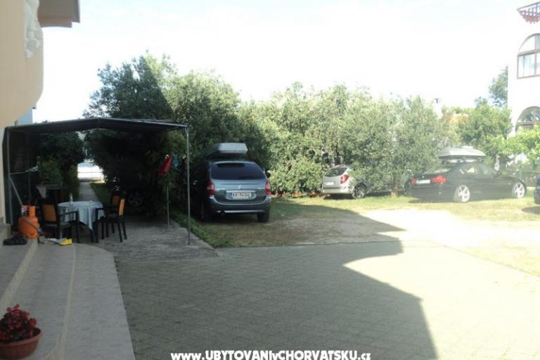 Apartmaji  Maslina – foto 6