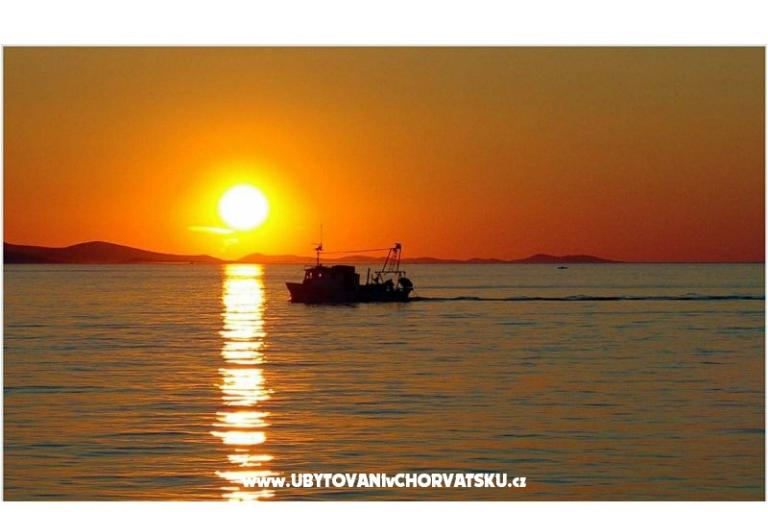 Apartmaji Mira – foto 16