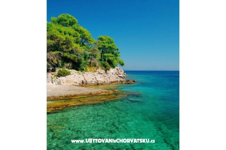 Apartmaji Mira – foto 17