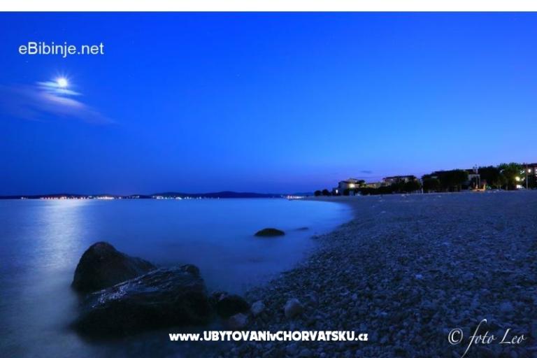 Apartmaji Šimunić Punta – foto 18