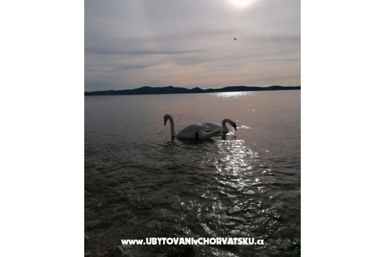 Apartmaji Vinko – foto 13