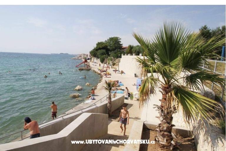 Apartmaji i Sobe Ivo – foto 4