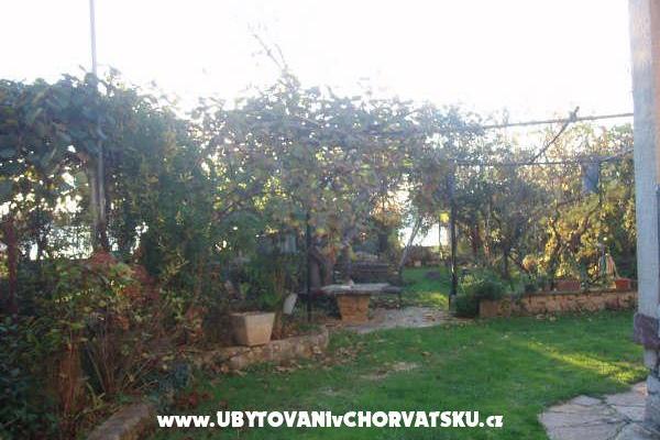 Apartmaji and Hiša Spika – foto 5