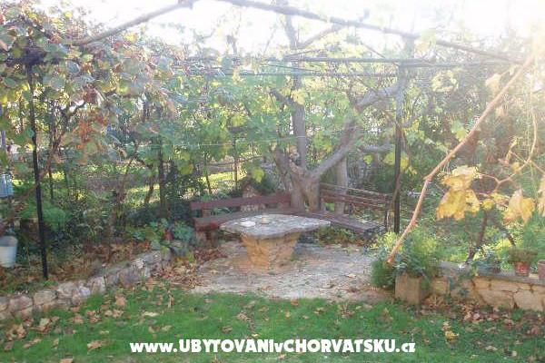 Apartmaji and Hiša Spika – foto 6