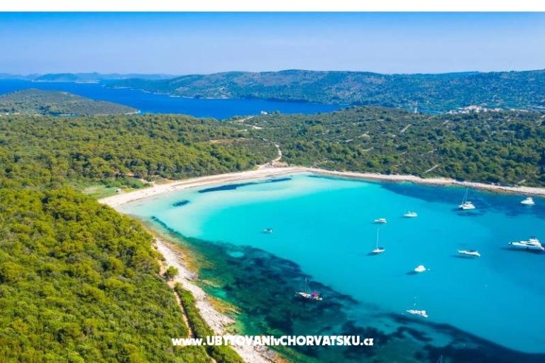 Apartmaji na plaži – foto 15