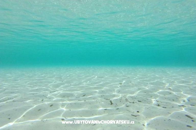 Apartmaji na plaži – foto 17