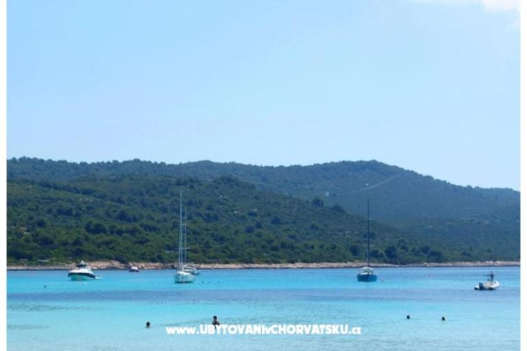 Apartmaji na plaži – foto 18
