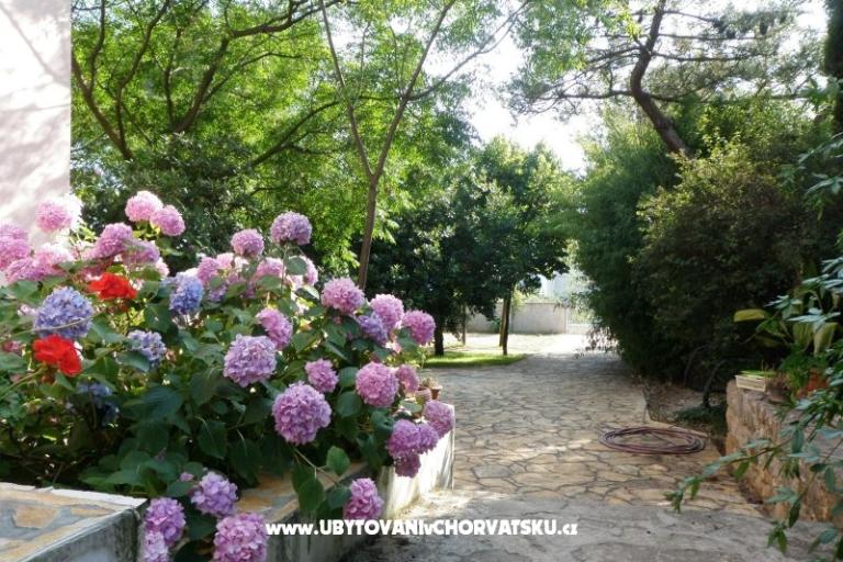 Apartmaji Lolinka Bibinje – foto 12