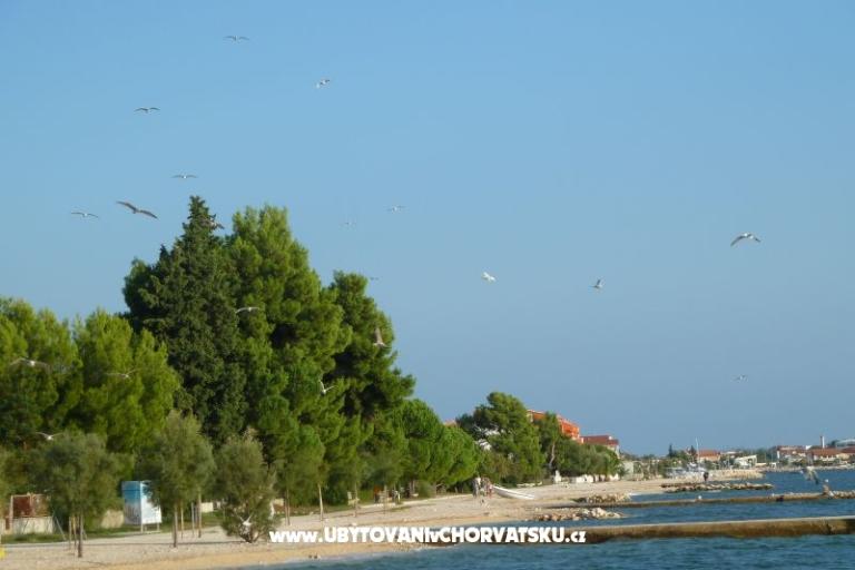 Bibinje Apartmaji – foto 11