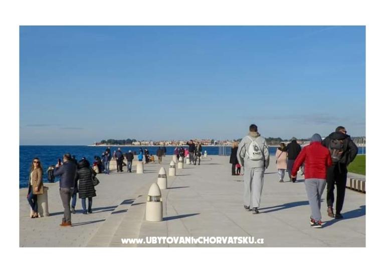 Počitniški dom Roema – foto 16
