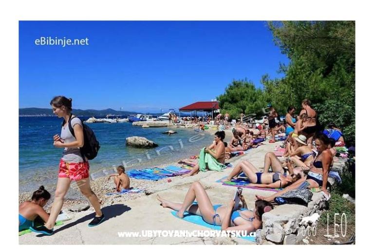 Počitniški dom Roema – foto 9