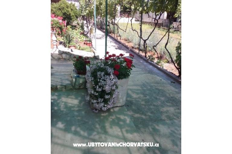 Apartmaji Ante Sladić – foto 16