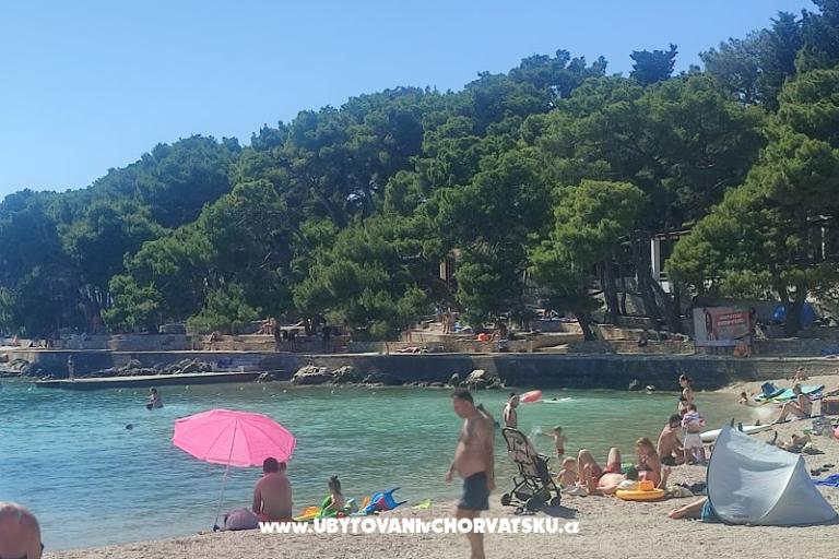 Apartma Cvita – foto 11