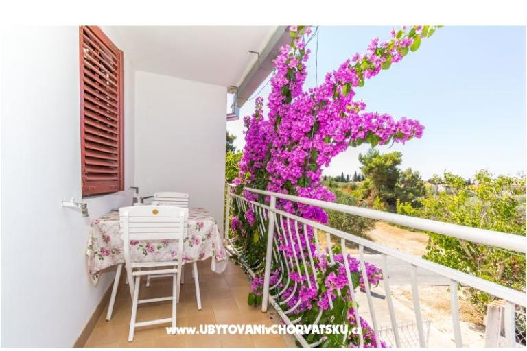 Apartmaji Ana – foto 6