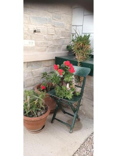 Apartmaji ANNA – foto 29
