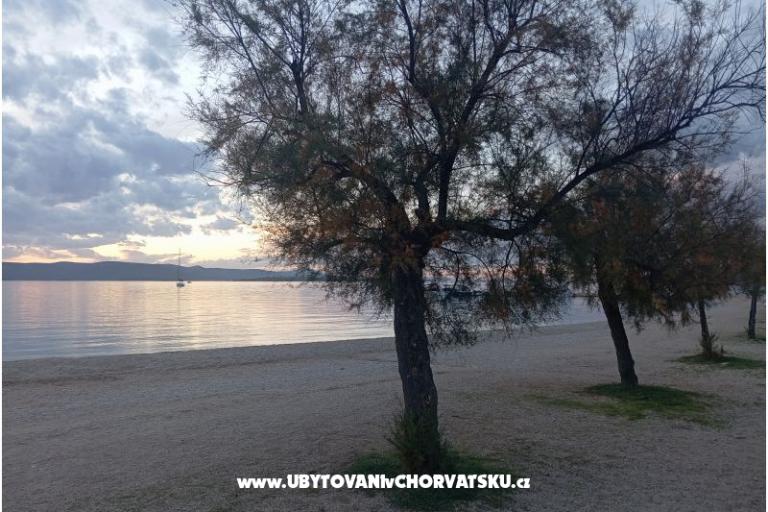 Apartmaji ANNA – foto 31