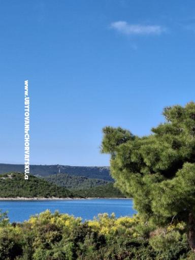 Villa D&amp;J – foto 7