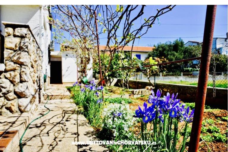 Apartmaji Grcić – foto 14