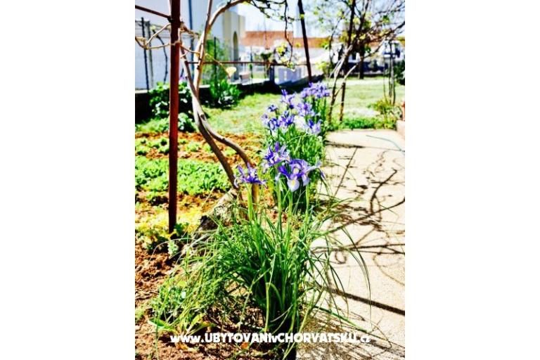 Apartmaji Grcić – foto 15