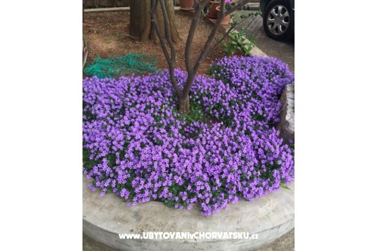 Apartmaji Jurov – foto 11