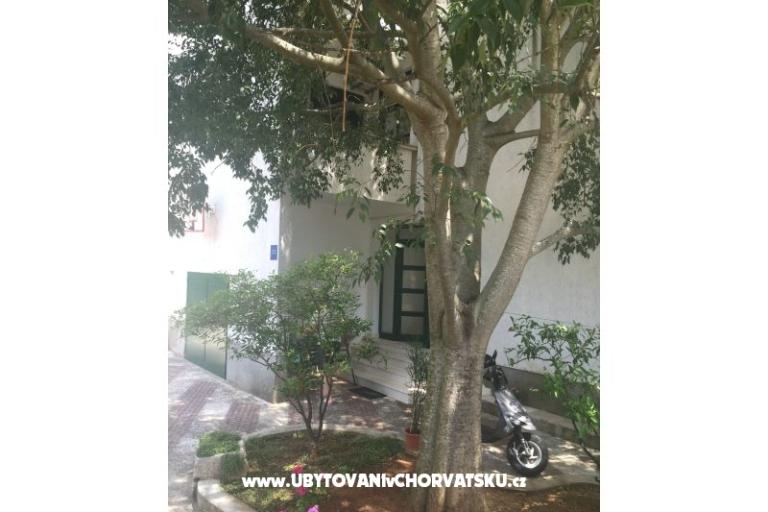 Apartmaji Jurov – foto 9