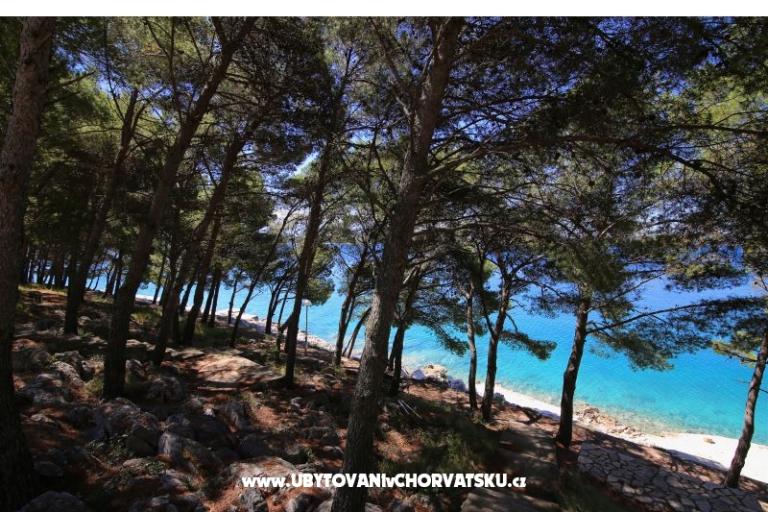 Apartmaji Lea – foto 10