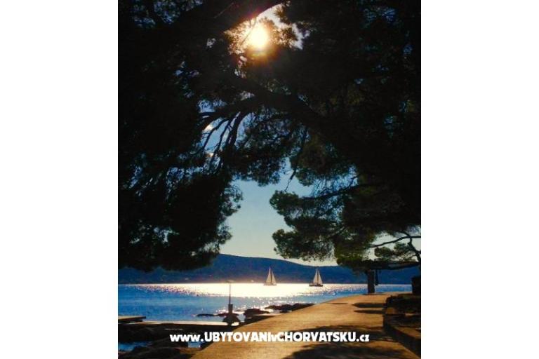Apartmaji Lucija – foto 17