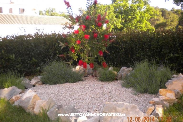 Apartmaji M&amp;M – foto 10