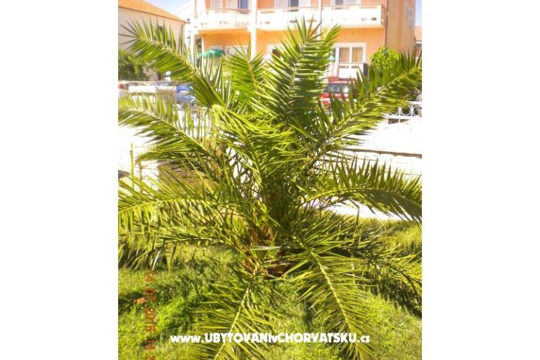 Apartmaji M&amp;M – foto 9