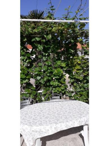 Apartmaji Margarita – foto 15