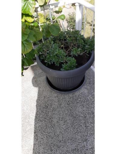 Apartmaji Margarita – foto 2