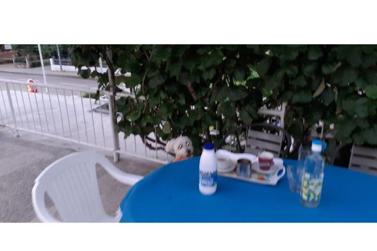 Apartmaji Margarita – foto 4