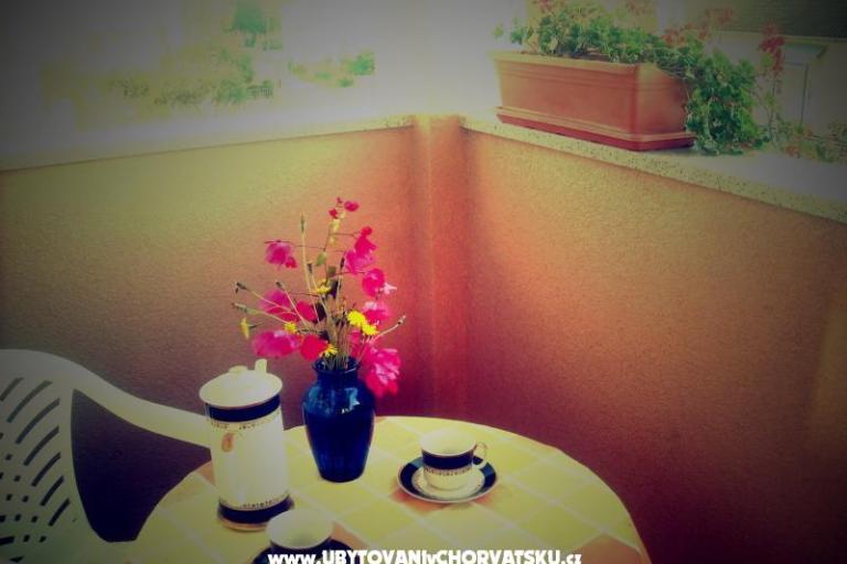 Apartmaji Mimoza – foto 6