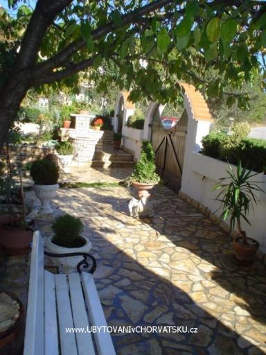 Apartmaji Sandra – foto 2