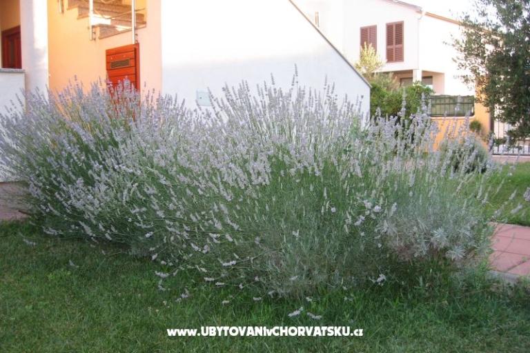 Apartmaji Blandona – foto 7