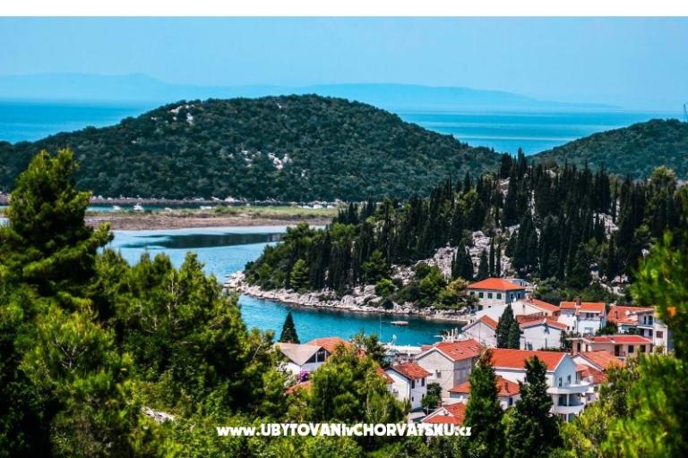 Apartma More – foto 6